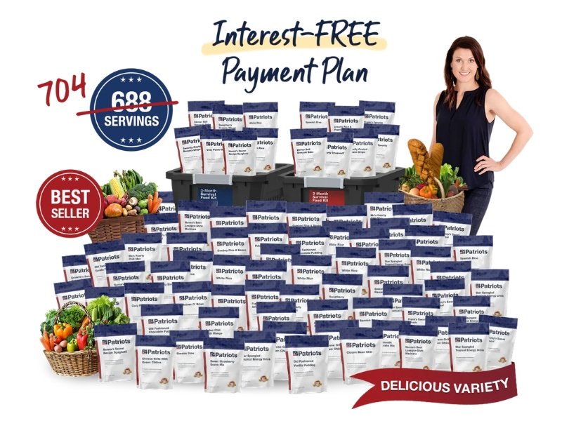 Buying Guide 4Patriots Generator Deals and Where to Purchase